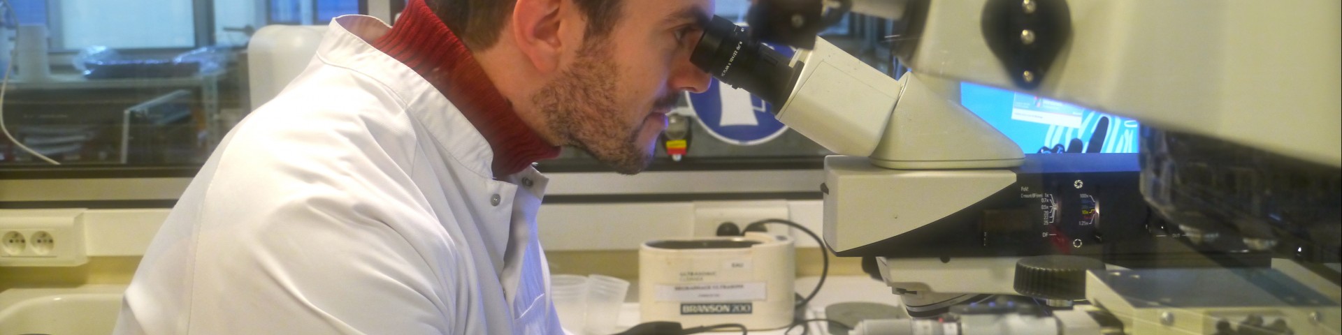 resp laboratoire
