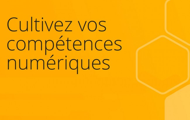 Cultiver ses compétences numériques avec Pix